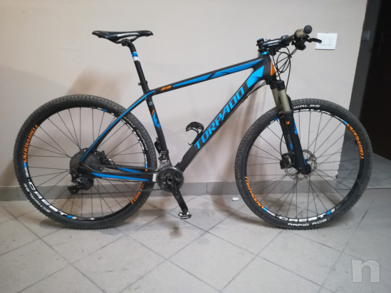 MTB Torpado Levizir carbon foto-19050