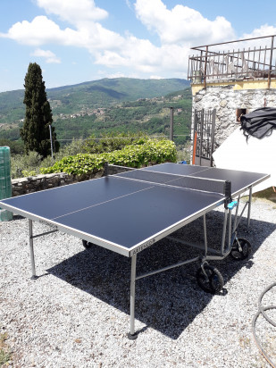 Tavolo da ping pong Artengo 750 outdoor foto-37012