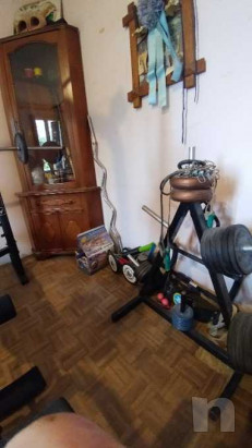 Dischi con gomma fassi sport piu porta dischi bilancieri e manubri foto-37084