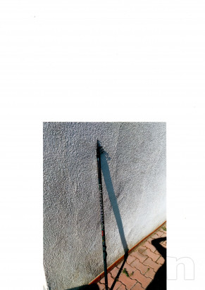 canna bolognese foto-19180