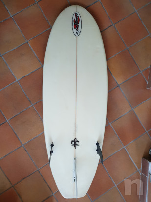 Tavola Surf 5.6 