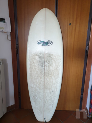 Tavola Surf 5.6 