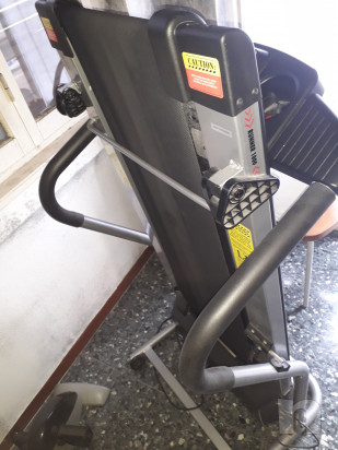 Tapirulan foto-19339