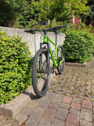 Specialized Epic taglia L foto-37592