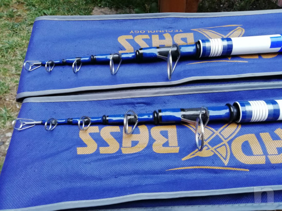 Canne Bad Bass Raja foto-19391