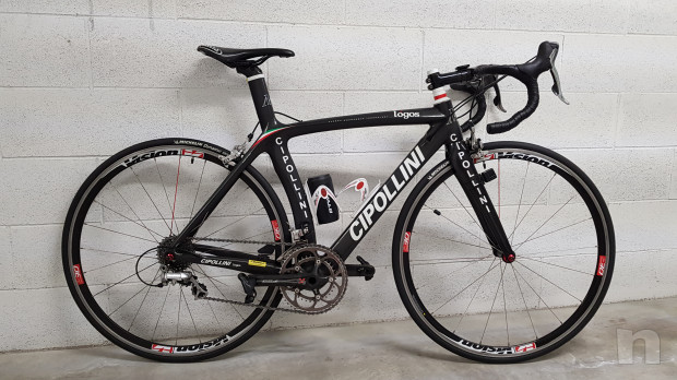 BDC Cipollini Logos 2016 foto-19401