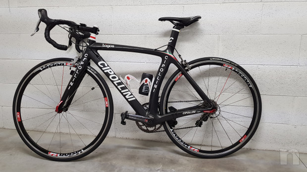 BDC Cipollini Logos 2016 foto-37669