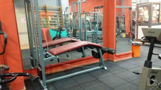 Technogym femoral curl foto-19475