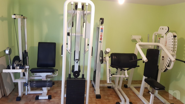 Macchine isotoniche professionali. foto-19519