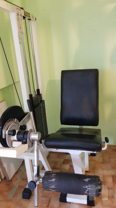 Macchine isotoniche professionali. foto-37894