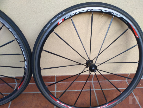 Ruote ciclismo  foto-19761