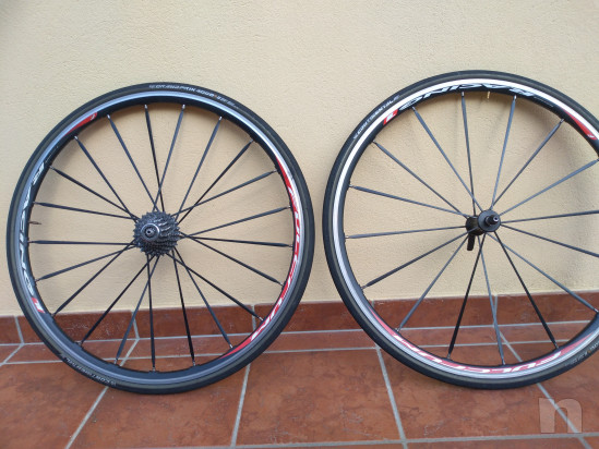 Ruote ciclismo  foto-38467