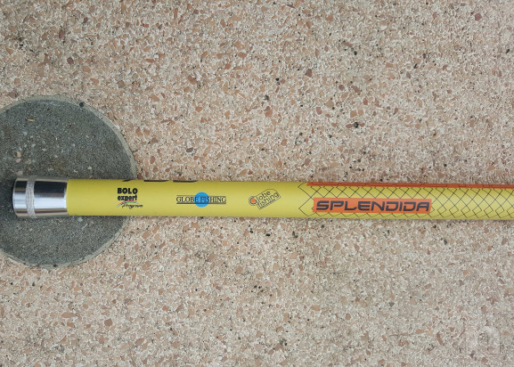  Canna Bolognese Splendida 7mt foto-38663