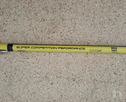  Canna Bolognese Splendida 7mt foto-38664