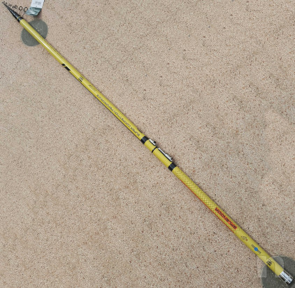  Canna Bolognese Splendida 7mt foto-19848