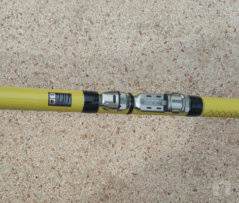  Canna Bolognese Splendida 7mt foto-38666