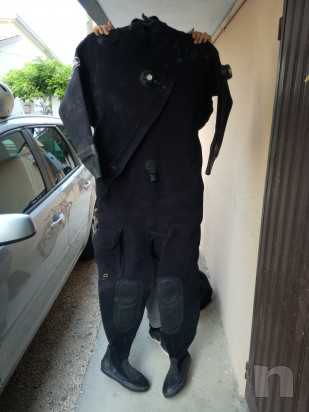 Muta stagna FOKA  foto-19934