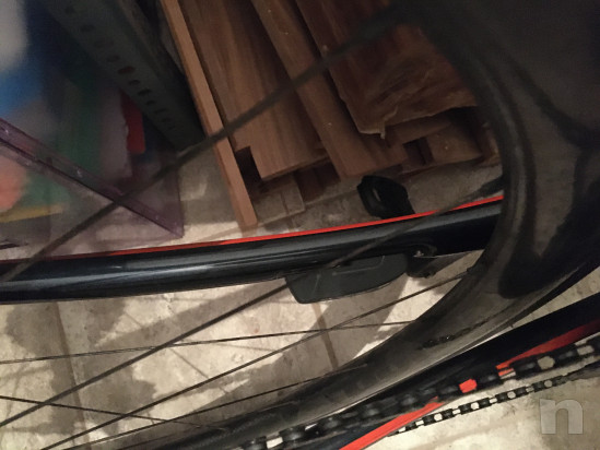 Emonda 6ls pro foto-38862