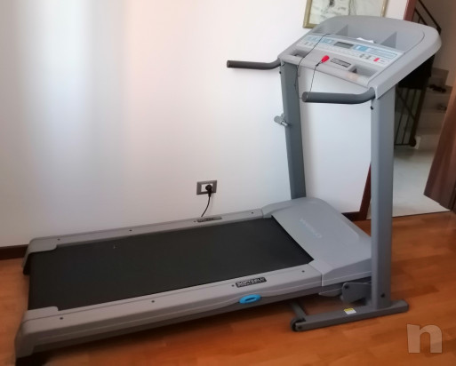 Tapirulan foto-19949