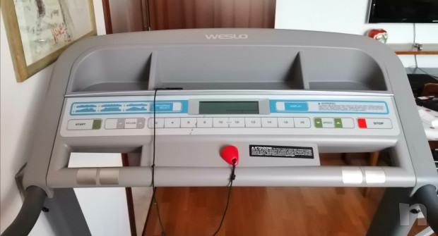 Tapirulan foto-38884