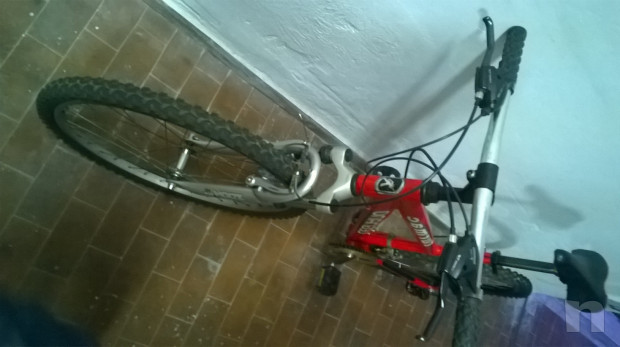 MTB PROFESSIONALE in ALLUMINIO foto-38921