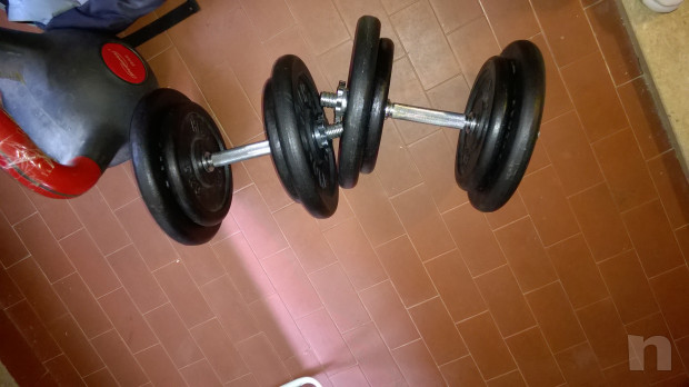 Pesi manubri foto-19978