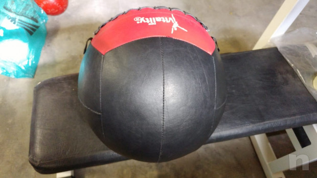 Wall Balla 10 Kg New Vitality foto-39023