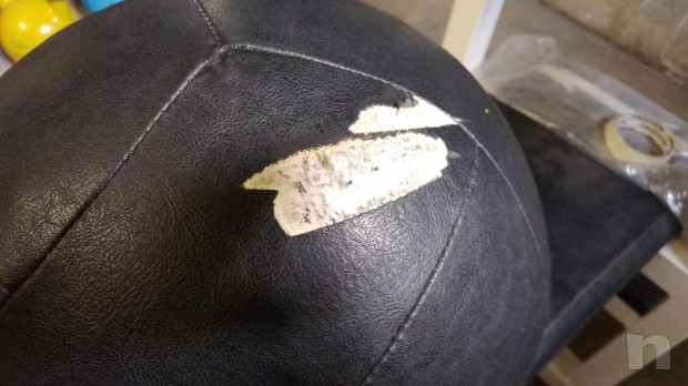 Wall Balla 10 Kg New Vitality foto-39024