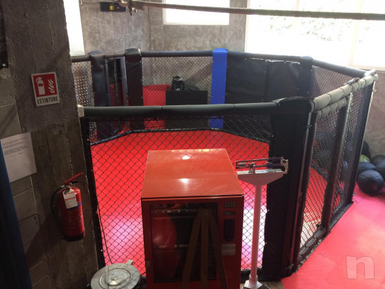 Gabbia ring per MMA nuovissima foto-20020