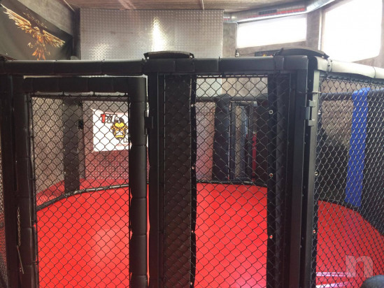 Gabbia ring per MMA nuovissima foto-39045