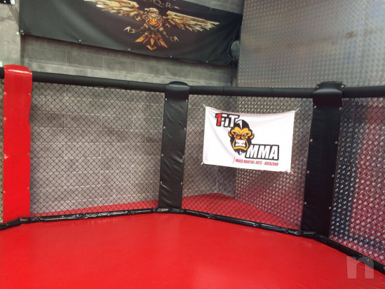 Gabbia ring per MMA nuovissima foto-39044