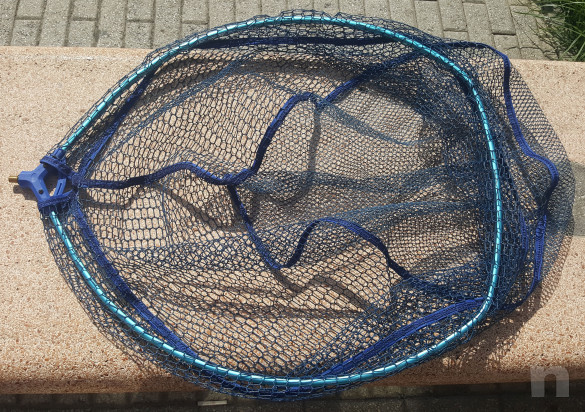 Testa di Guadino Ovale Resinata 60x50  foto-39066