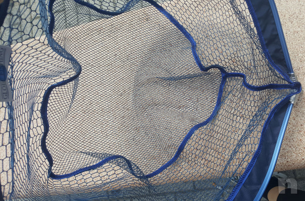 Testa di Guadino con Bordo Resinata 60x55  foto-39072