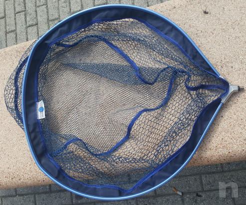 Testa di Guadino con Bordo Resinata 60x55  foto-20030