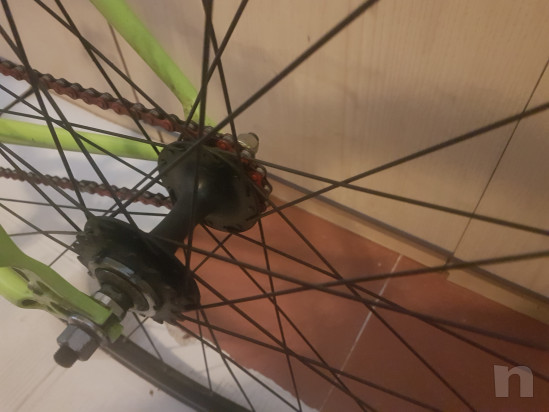 Bicicletta Wilier Triestina Pontevecchio foto-39101