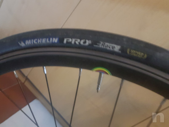 Bicicletta Wilier Triestina Pontevecchio foto-39099