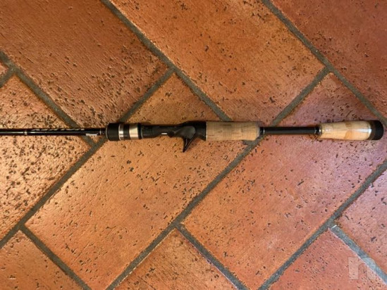 Canna volkey foto-39667