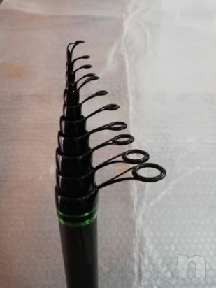 Canna bolognese Maver 8mt green power foto-39711