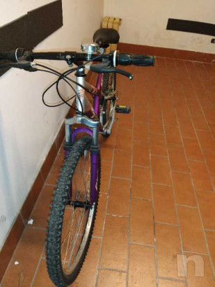 Mountain Bike ruota da 26 foto-39724