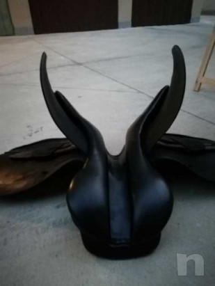Sella equitazione  foto-39757