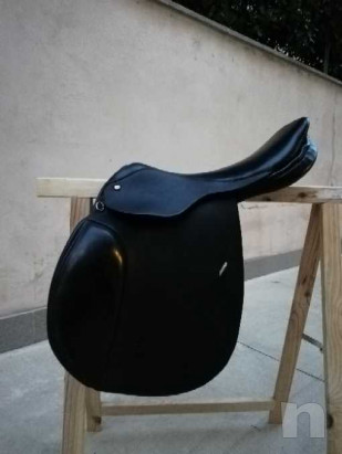 Sella equitazione  foto-20363