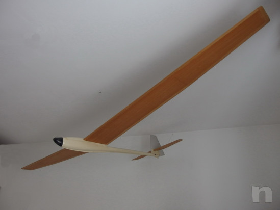 Aliante-veleggiatore Pegasus foto-20414