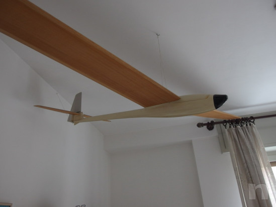 Aliante-veleggiatore Pegasus foto-39850