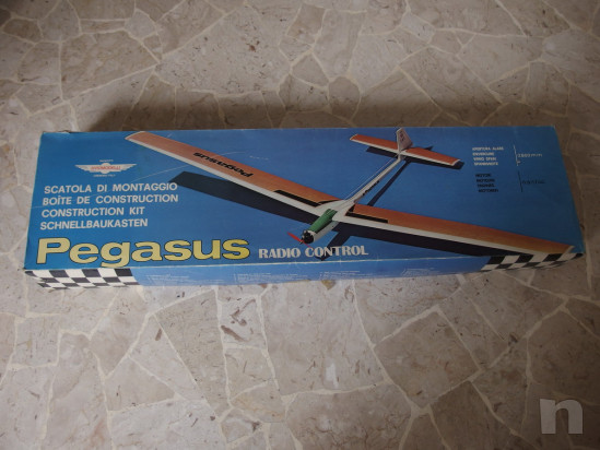 Aliante-veleggiatore Pegasus foto-39851