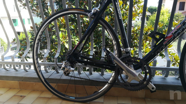 Scapin bici da corsa carbonio foto-39999