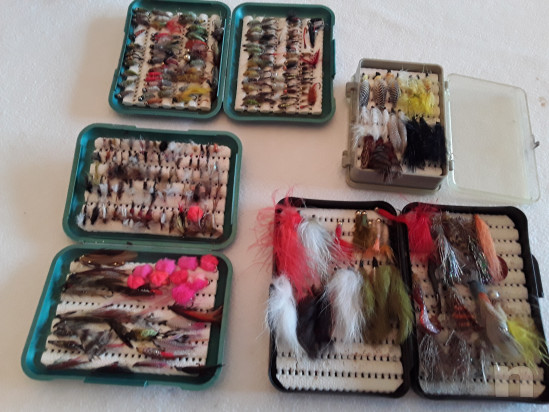 Pesca a mosca foto-40012