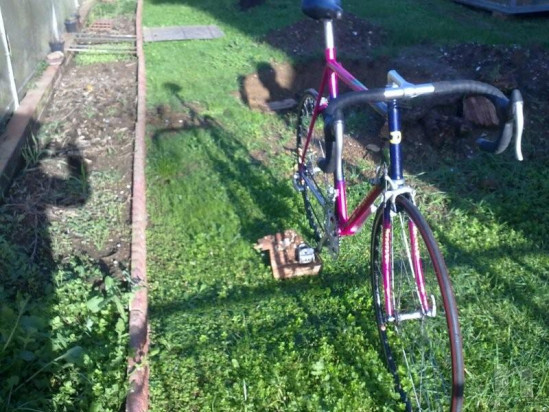 Bici DACCORDI Mitico Costruita 1990 taglia XXL foto-40034