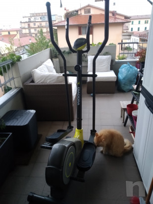 Ellittica  foto-40062