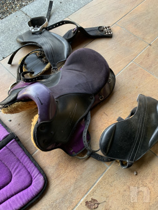 Sella da campagna/Endurance foto-20674