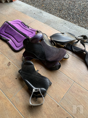 Sella da campagna/Endurance foto-40392